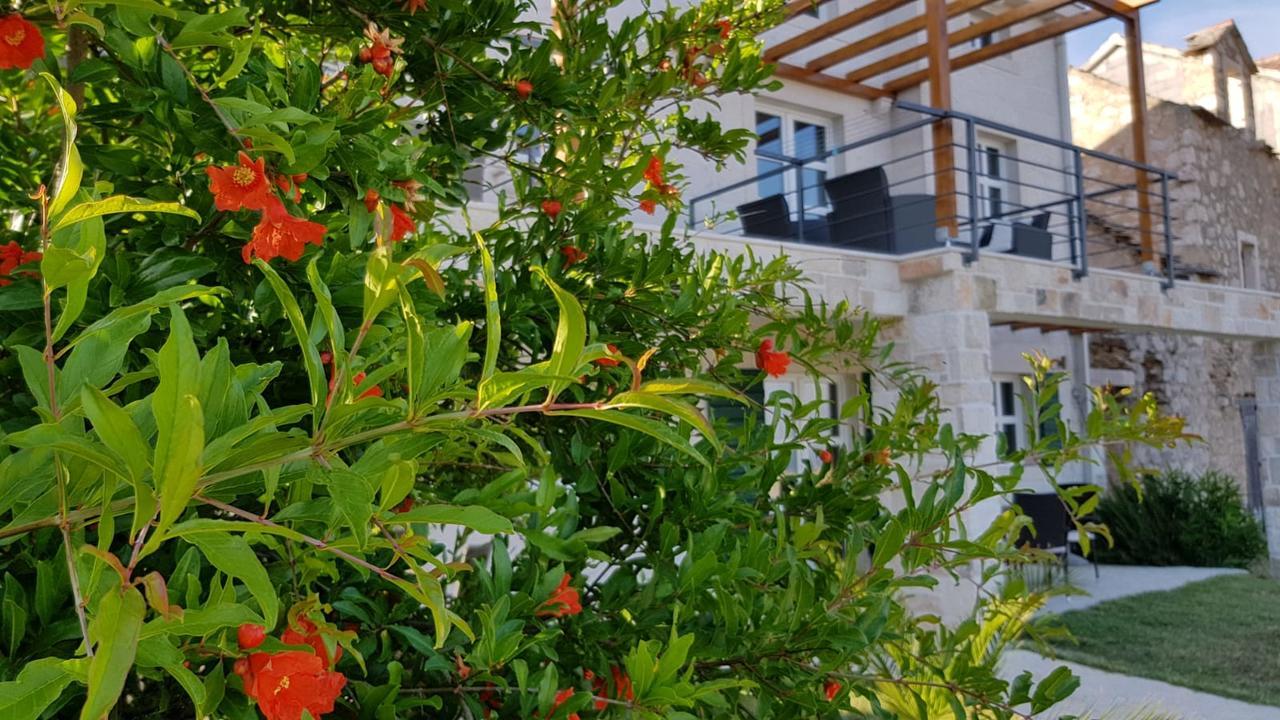 בול Apartments Lolita מראה חיצוני תמונה
